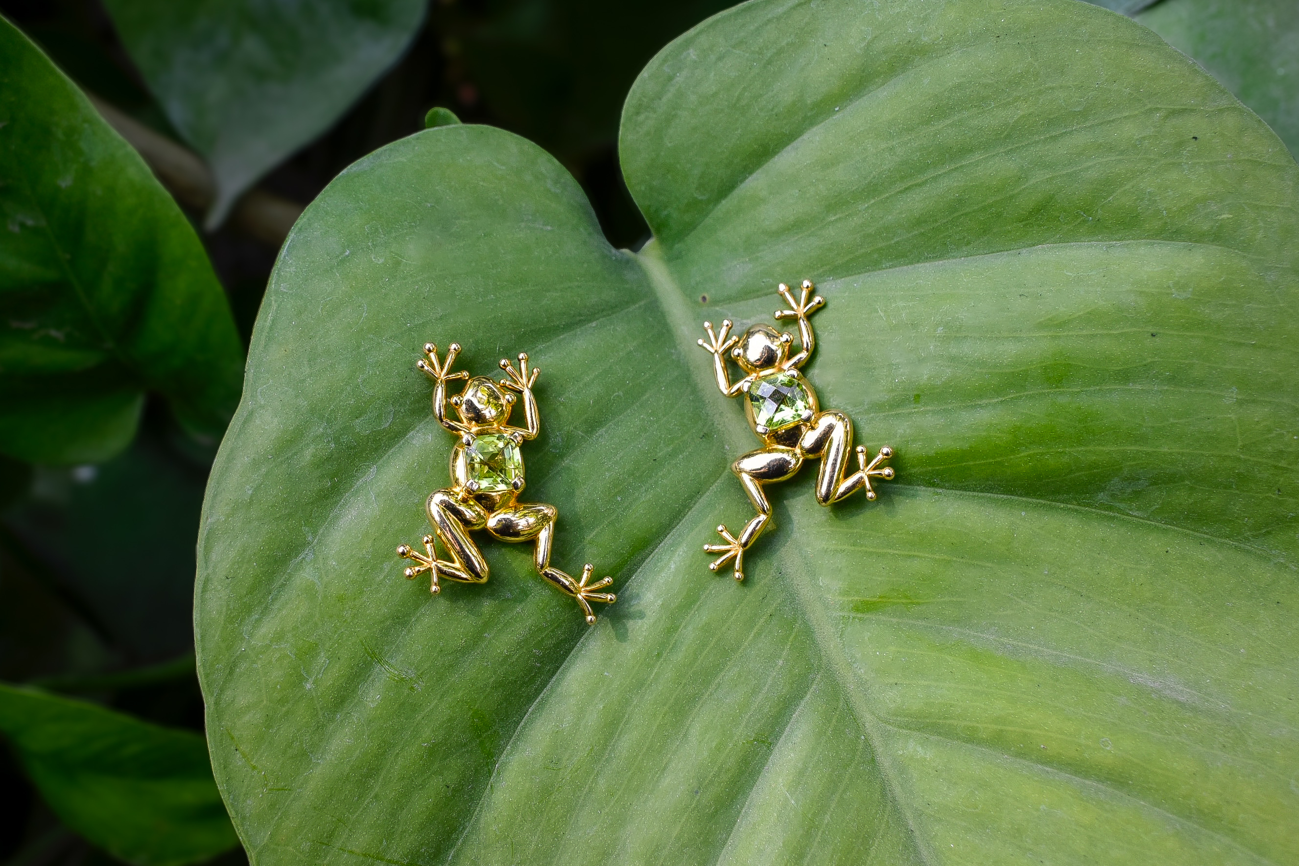 Frog Earrings